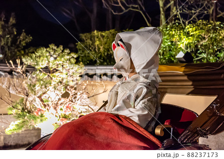 《京都府》東山花灯路　狐の嫁入り 88237173