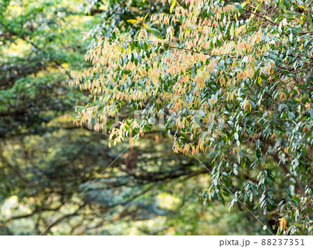 台湾 台北 台北市 88237351