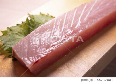 新鮮で美味しいハマチと鰤 新鮮で美味しいハマチと鰤 88237881