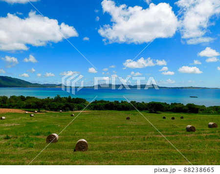 屋良部半島の牧草ロールの風景 88238665