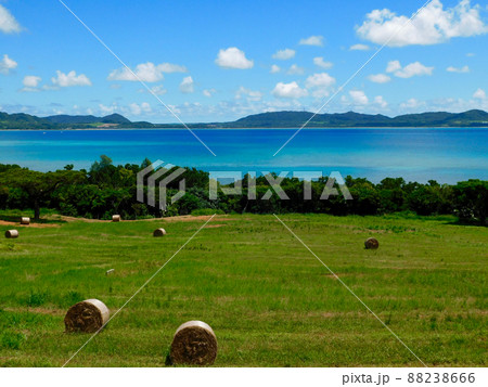屋良部半島の牧草ロールの風景 屋良部半島の牧草ロールの風景 88238666