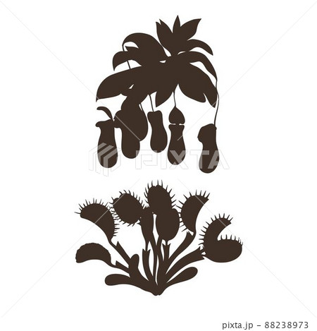 Black silhouettes of carnivorous plants isolated on white background. Vector illustration. 88238973