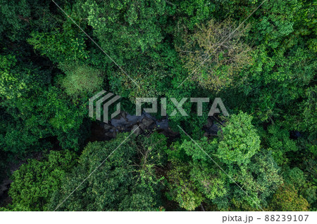 road and green trees from above in the summer forest 88239107