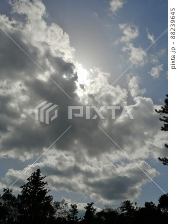 伊勢神宮上空の龍神様 伊勢神宮上空の龍神様 88239645