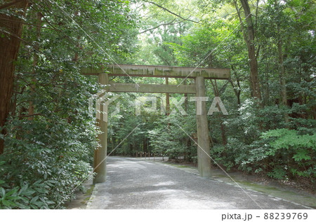 森と鳥居_外宮_伊勢神宮 森と鳥居_外宮_伊勢神宮 88239769