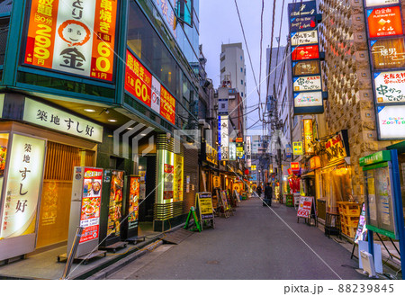 日本の東京都市景観 解除2日目(まん延防止)の新橋・飲み屋街=3月23日 日本の東京都市景観 解除2日目(まん延防止)の新橋・飲み屋街=3月23日 88239845