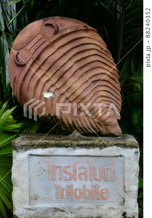 Trilobites statue with Thai and English names at Urai Thong Cave, La-ngu district, Satun Province, Thailand, Trilobites are a group of extinct marine arthropods that form the class Trilobita Trilobites statue with Thai and English names at Urai Thong Cave, La-ngu district, Satun Province, Thailand, Trilobites are a group of extinct marine arthropods that form the class Trilobita 88240352