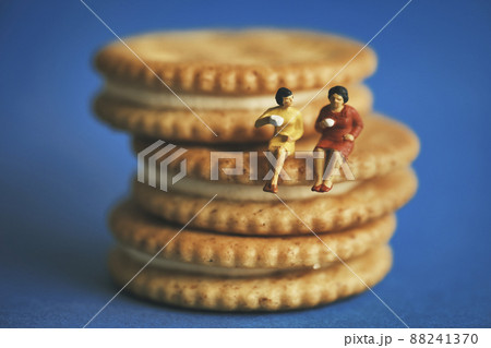 ビスケットに座るミニチュアの女子 88241370
