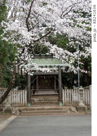 【愛知県】 砥鹿神社 【愛知県】 砥鹿神社 88241636