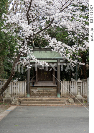 【愛知県】 砥鹿神社 【愛知県】 砥鹿神社 88241637