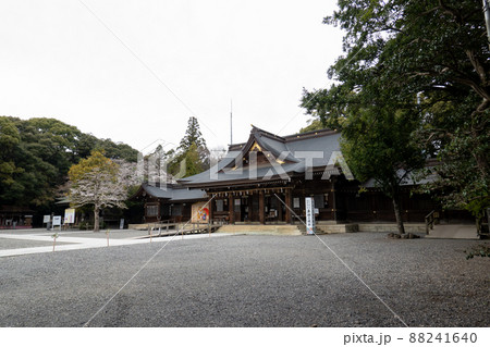 【愛知県】　砥鹿神社 88241640