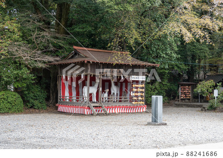 【愛知県】　砥鹿神社 88241686