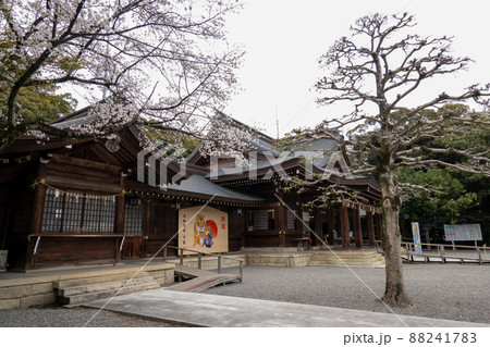 【愛知県】　砥鹿神社 88241783