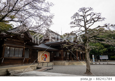 【愛知県】　砥鹿神社 88241784