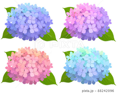 紫陽花 4色セット 紫陽花 4色セット 88242096