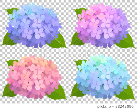 紫陽花 4色セット 紫陽花 4色セット 88242096