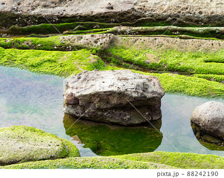 wet beach with rock formations and green algae growth wet beach with rock formations and green algae growth 88242190