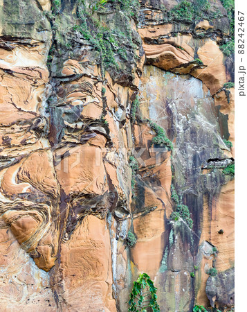 beautiful multi-colored rock covered with moss and grass natural texture beautiful multi-colored rock covered with moss and grass natural texture 88242467