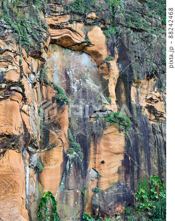 beautiful multi-colored rock covered with moss and grass natural texture 88242468