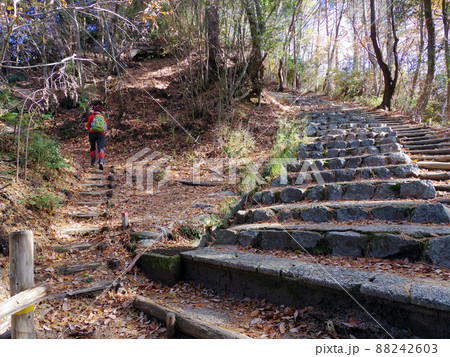 晩秋の登山道 晩秋の登山道 88242603