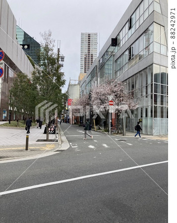 2022年3月28日大阪梅田 桜 2022年3月28日大阪梅田 桜 88242971