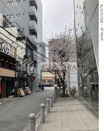 2022年3月28日大阪梅田 桜 2022年3月28日大阪梅田 桜 88242978