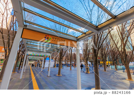 埼玉県 さいたま市 たまアリタウン けやきひろば 埼玉県 さいたま市 たまアリタウン けやきひろば 88243166