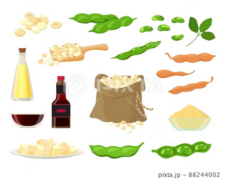 Cartoon soy product, oil, milk, miso, tofu and sauce. Dry soya beans in bag, spoon, pods and leaf. Healthy vegetarian legume food vector set 88244002
