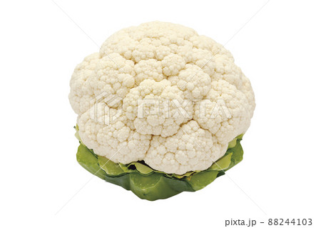 カリフラワー_05(パス付) カリフラワー_05(パス付) 88244103