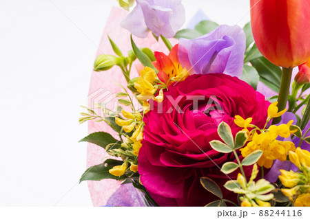 ラナンキュラス　花束　フラワーアレンジメント　お祝い 88244116