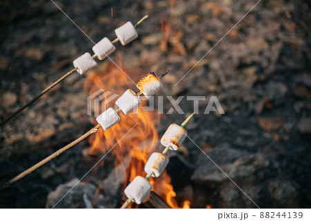 Toasted marshmallows on sticks on the background of the fire Toasted marshmallows on sticks on the background of the fire 88244139