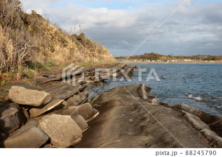 館山市沖ノ島の断層 館山市沖ノ島の断層 88245790