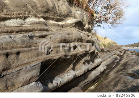 館山市沖ノ島の断層 88245806