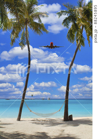 インド洋の楽園・モルディブの美しい海 88245895