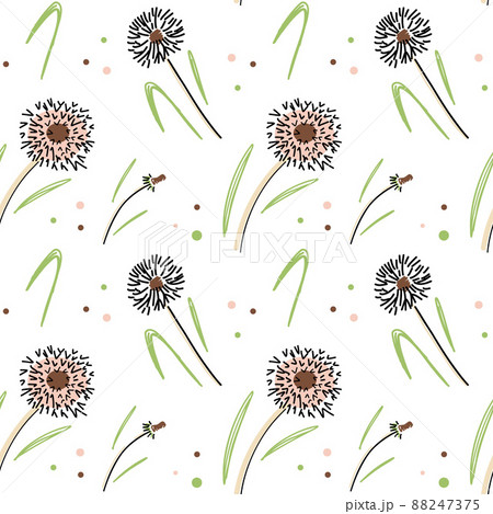 Pattern of dandelions on white background Pattern of dandelions on white background 88247375