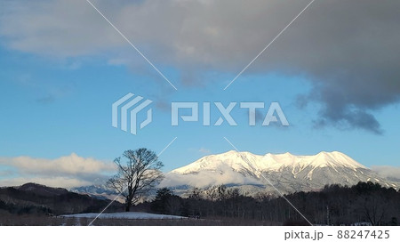 雪景色の御嶽山(御岳山) 雪景色の御嶽山(御岳山) 88247425
