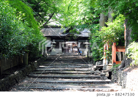 穴織宮 伊居太神社大門 穴織宮 伊居太神社大門 88247530