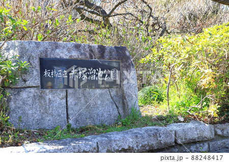 板橋区立赤塚溜池公園(あかつかためいけこうえん) 板橋区立赤塚溜池公園(あかつかためいけこうえん) 88248417