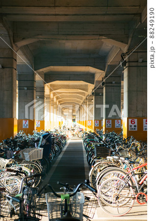 草加市 日常風景 草加市 日常風景 88249190