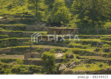Traditional Houses on the Green Forest Rocks in Pakistani Mountains, Gilgit - Baltistan, Pakistan Traditional Houses on the Green Forest Rocks in Pakistani Mountains, Gilgit - Baltistan, Pakistan 88249425