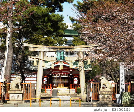 港住吉神社 88250139