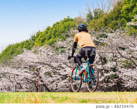 春の多摩川 桜満開のサイクリングロード(府中市付近) 春の多摩川 桜満開のサイクリングロード(府中市付近) 88250470
