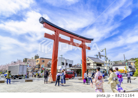 神奈川県の風景　春の鎌倉 88251164