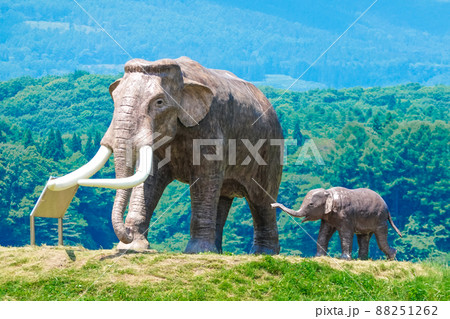 野尻湖ナウマンゾウの親子像 野尻湖畔の国道18号沿い(長野県信濃町) 野尻湖ナウマンゾウの親子像 野尻湖畔の国道18号沿い(長野県信濃町) 88251262