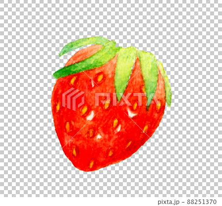 帶花萼的可愛草莓插圖(單品) 水果手繪水彩插圖素材 帶花萼的可愛草莓插圖(單品) 水果手繪水彩插圖素材 88251370