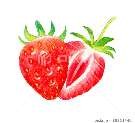 半分に切ったイチゴの断面のイラスト フルーツの手描き水彩イラスト素材のイラスト素材