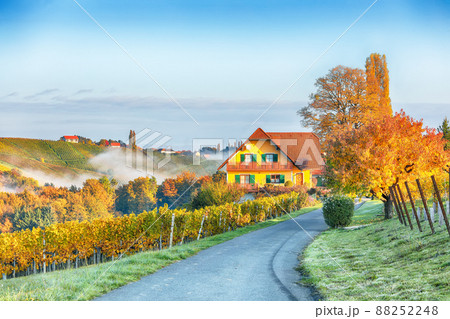 Astonishing vineyards landscape in South Styria near Gamlitz. 88252248