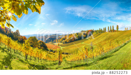 Fabulous vineyards landscape in South Styria near Gamlitz. 88252273