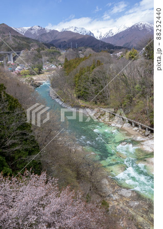 春の水上温泉　諏訪峡遊歩道 88252440