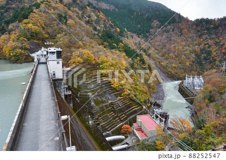 静岡県　井川ダムと井川湖の紅葉 88252547